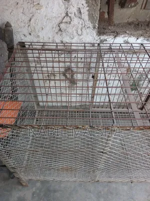 Iron Cage