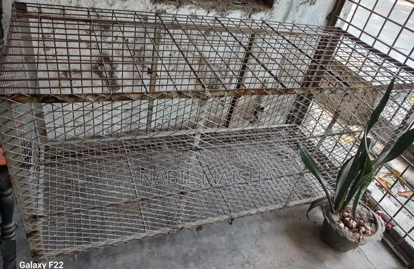 Iron Cage