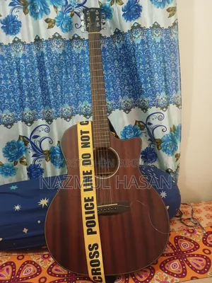 Brand New Hex Hive GA120C M Acoustic Guitar for Sale