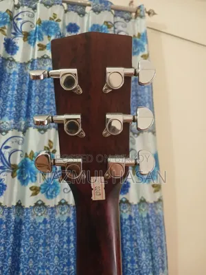 Brand New Hex Hive GA120C M Acoustic Guitar for Sale