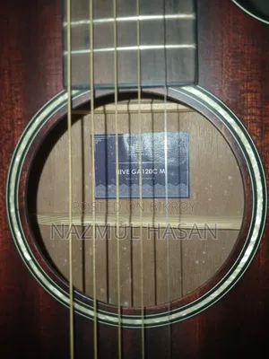 Brand New Hex Hive GA120C M Acoustic Guitar for Sale