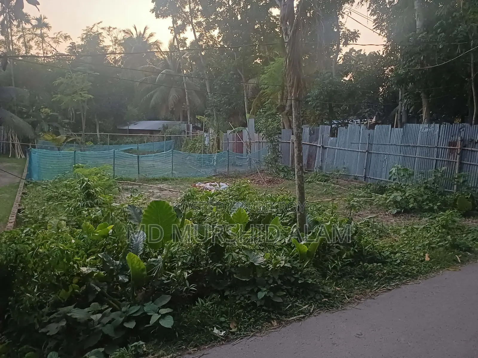 Land for Sale