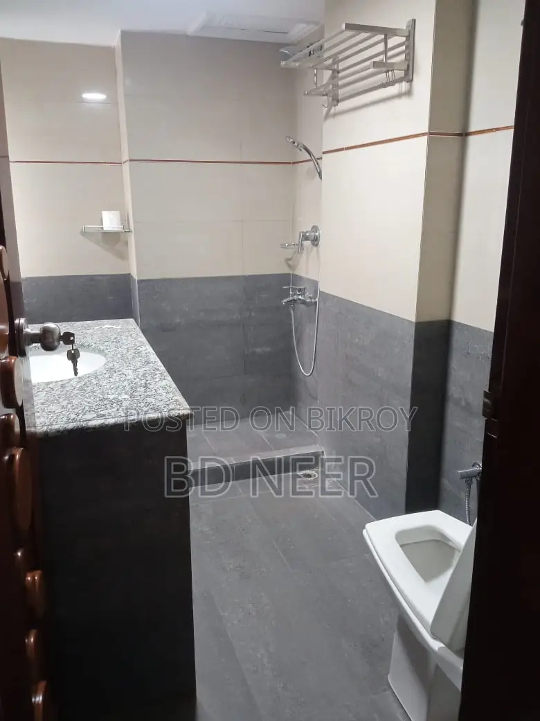 Very Well Newly Full Furnish 4 Bed Room Apt Rent in Gulshan