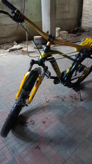 Finiss Bicycle for Sale
