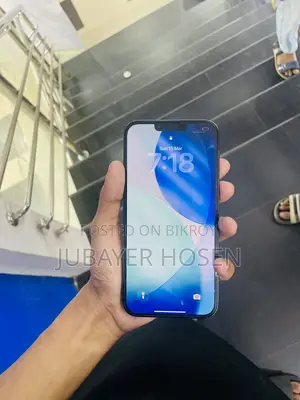Apple iPhone 13 Pro Max (Used)