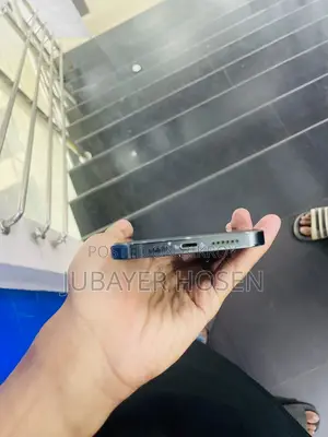 Apple iPhone 13 Pro Max (Used)