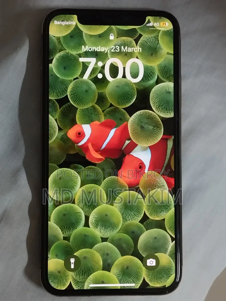 Apple iPhone XS (Used)