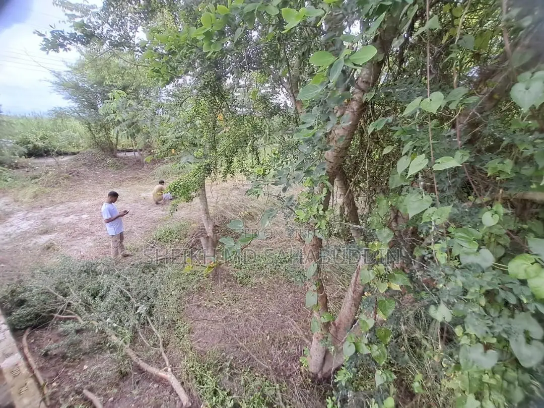 ময়ূরী আবাসিক এলাকা