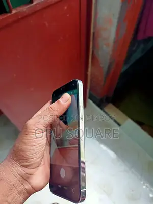Apple iPhone 12 Pro (Used)