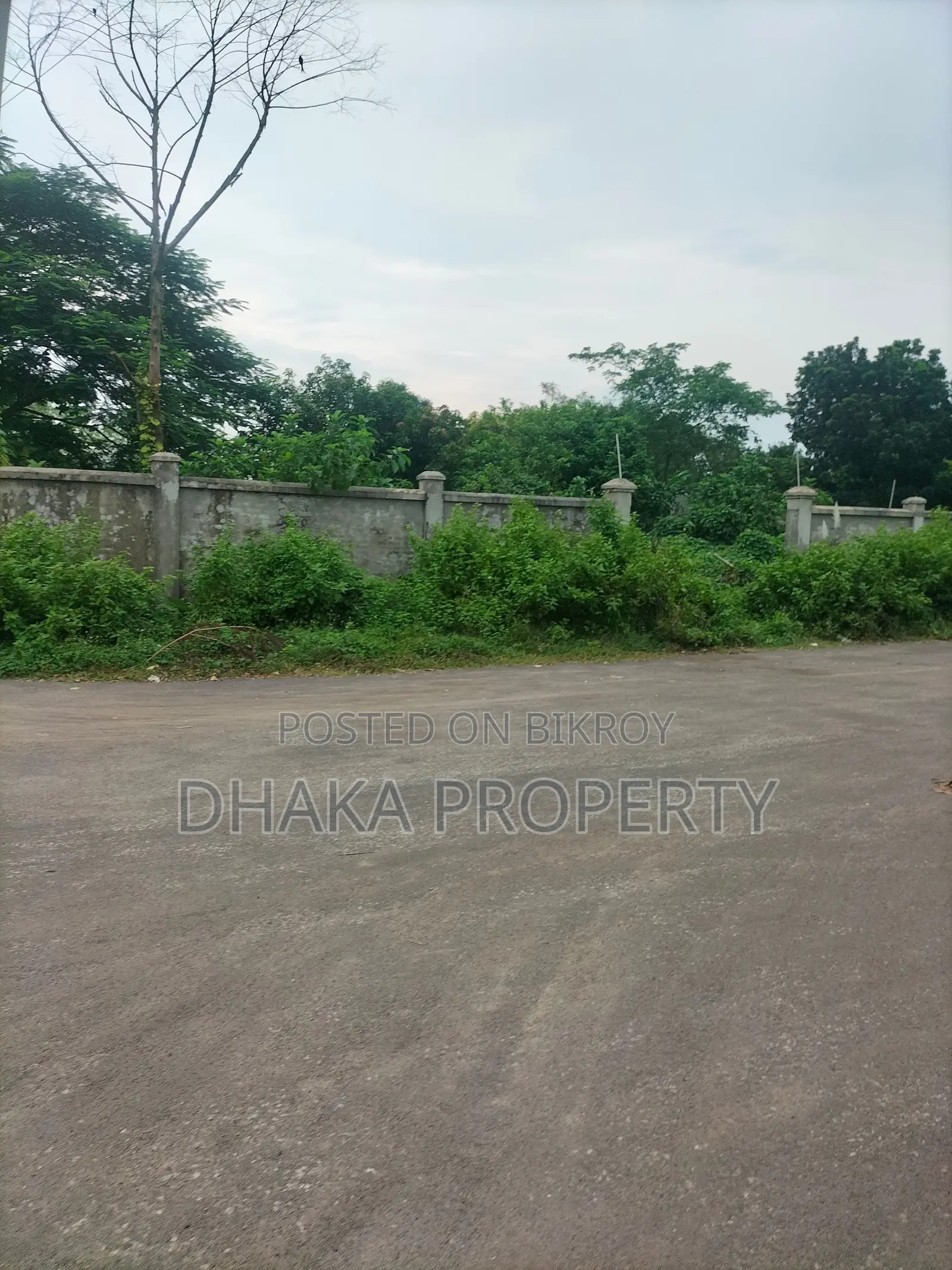 75ft Rd 6.25 Katha South at Sector- 3