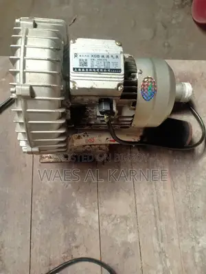 Air Pump Motor