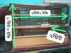 পাখির খাঁচা