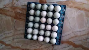হাঁসের ডিম