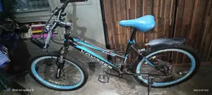 Voyager Bicycle 24 Size
