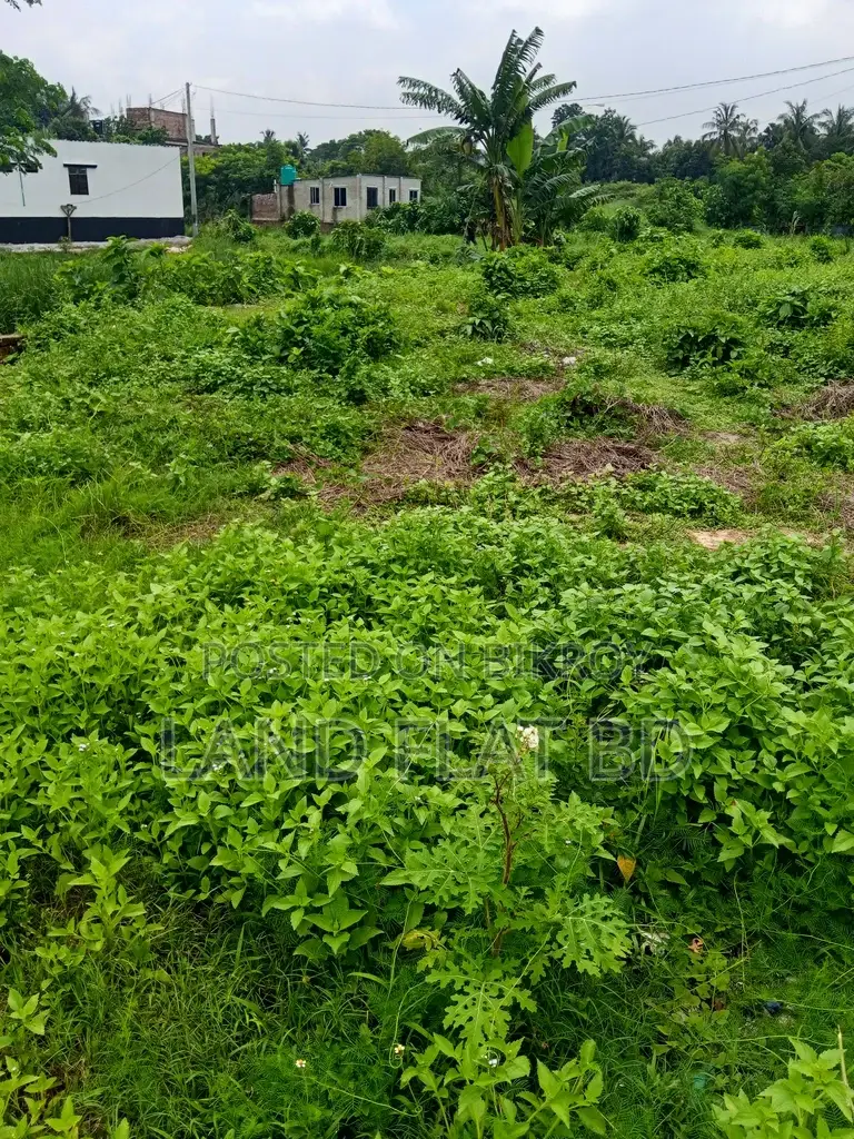 Ati Bazar, 24 decimals of land for sale, ready for immediate construction