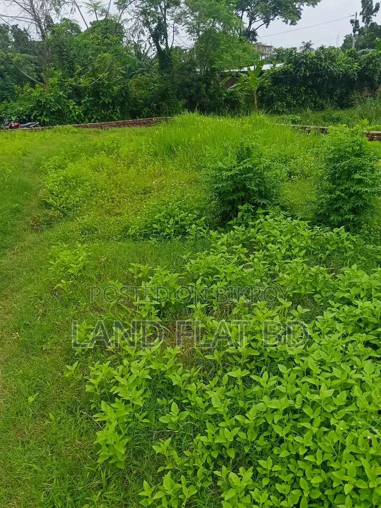 Ati Bazar, 24 decimals of land for sale, ready for immediate construction