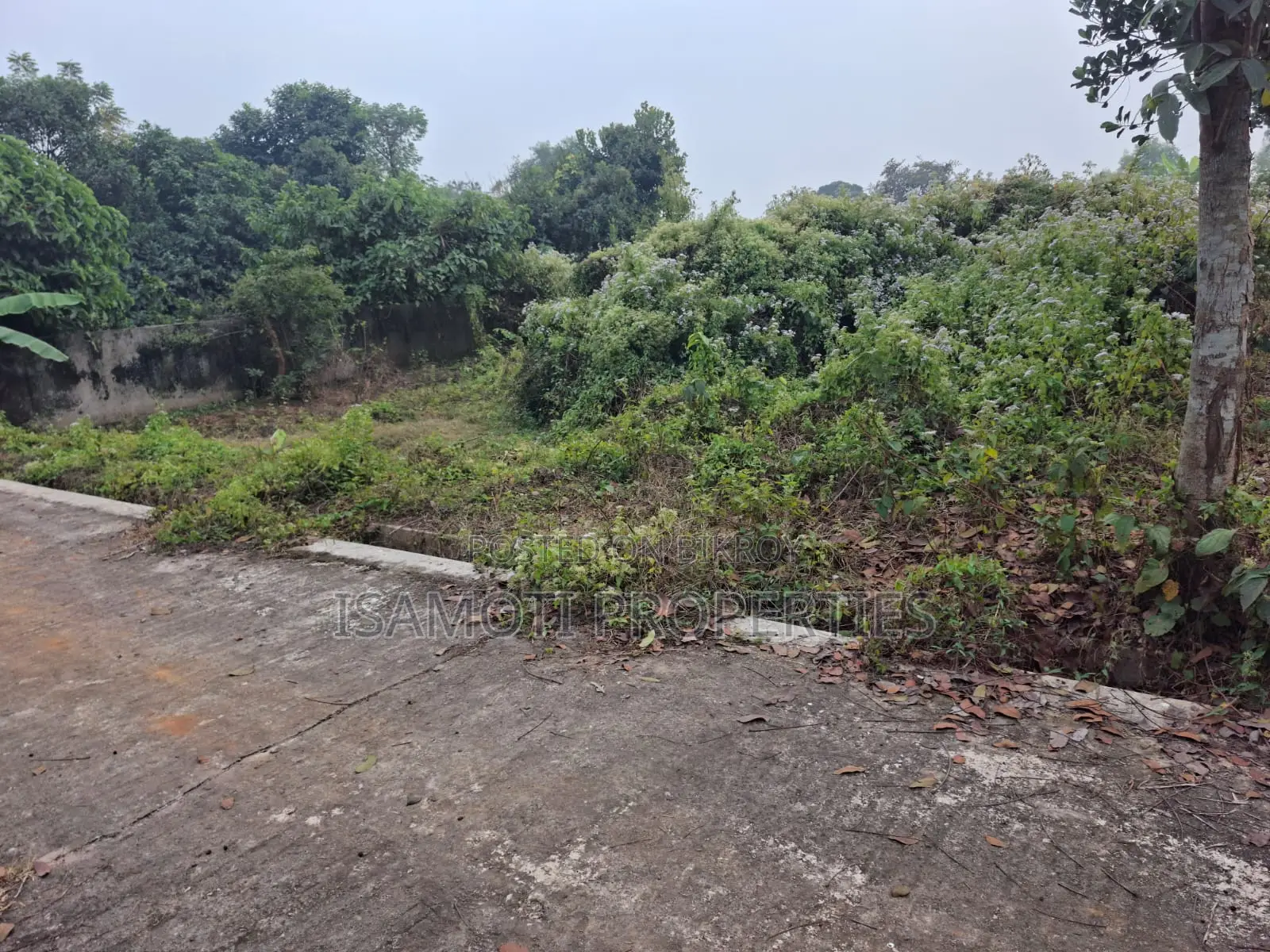 Affordable 5 katha Plot Sale at Purbachal