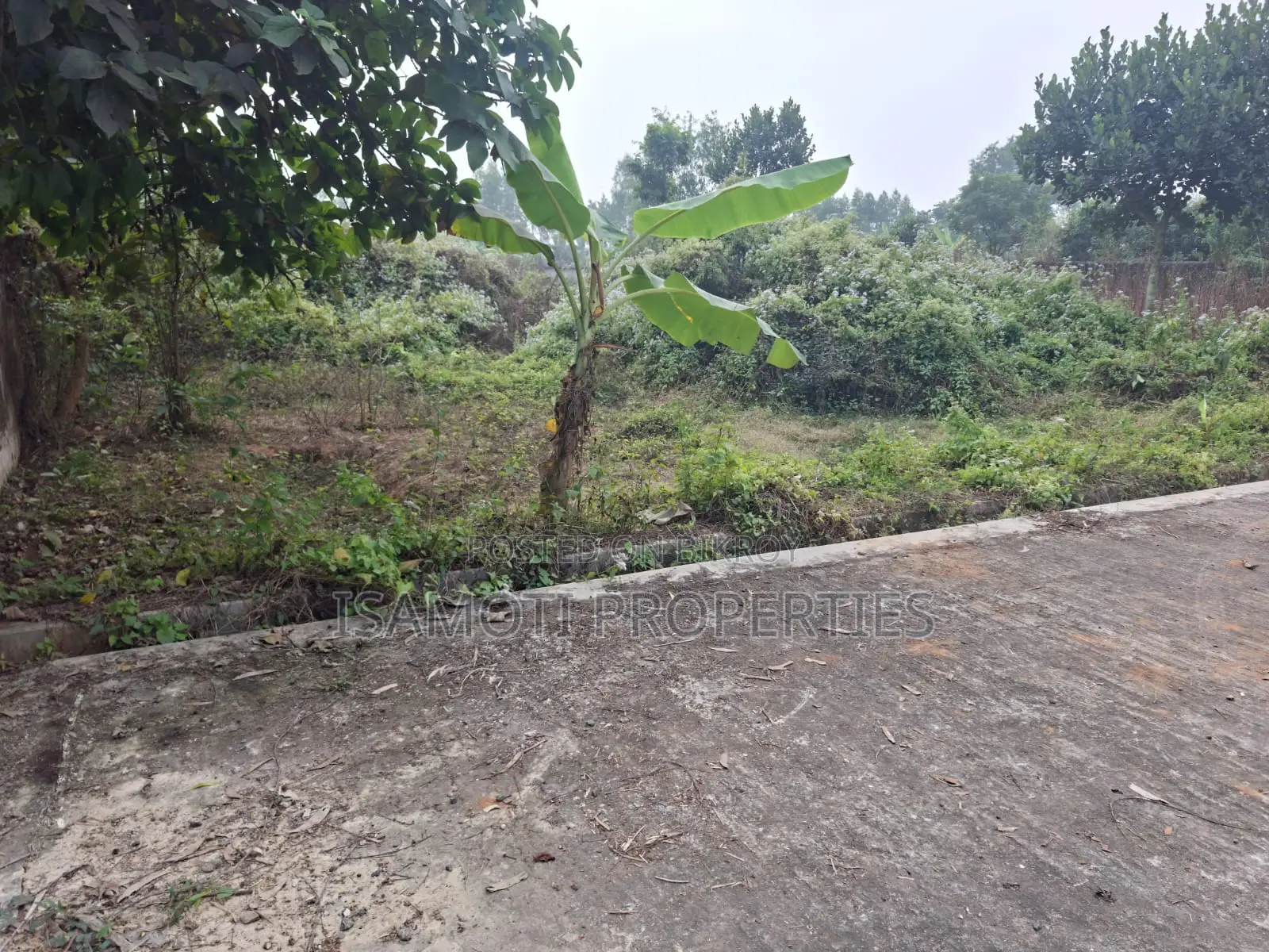 Affordable 5 katha Plot Sale at Purbachal