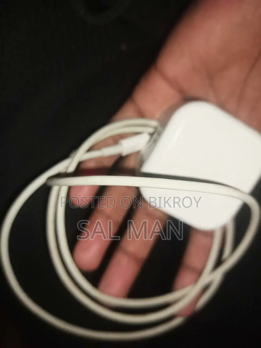 Original Apple Adapter
