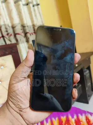 Apple iPhone 12 Pro 256 GB (Used)