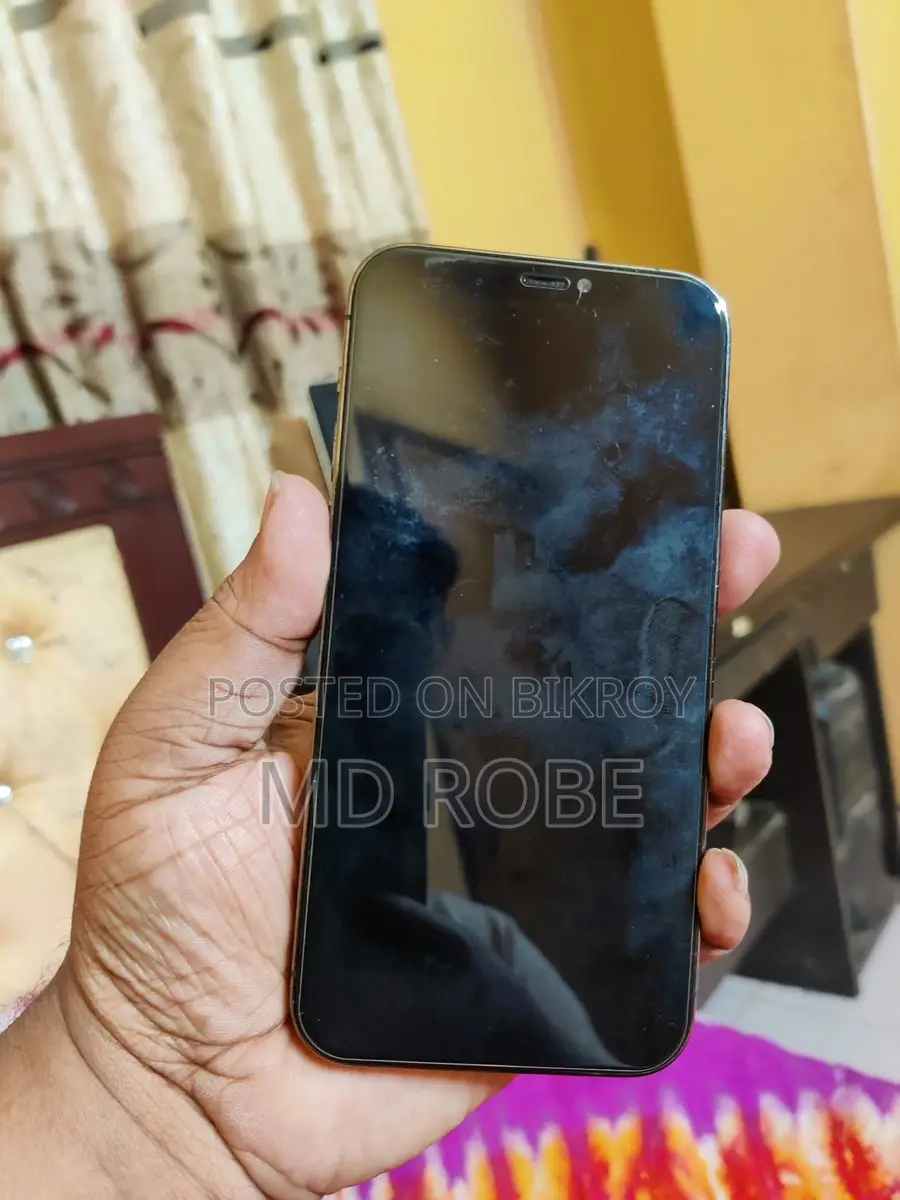 Apple iPhone 12 Pro 256 GB (Used)