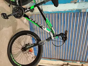 Phoenix 26 size