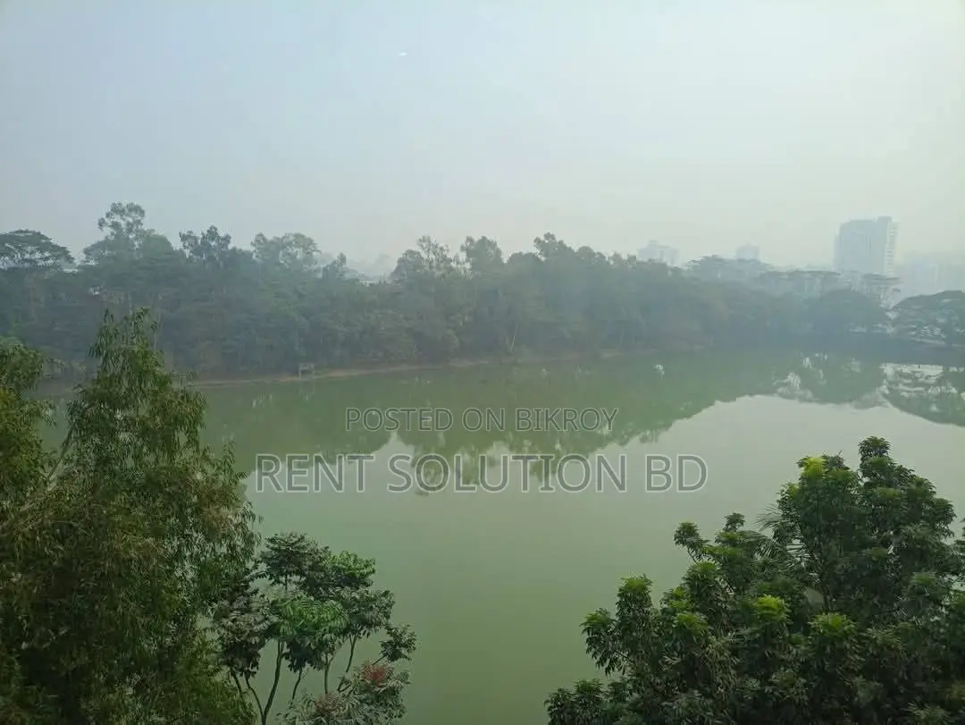 Lakeside Semi Furnished Gym Swimming Pool Flat Rent in Gulshan North