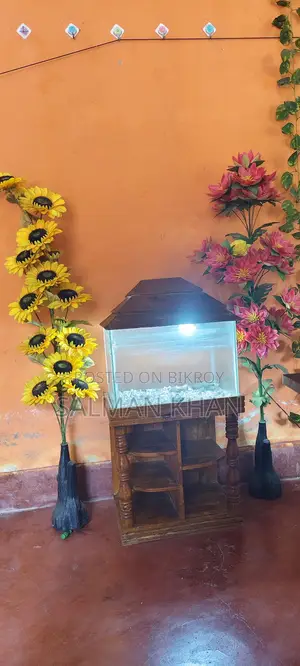 একুরিয়াম বিক্রি হবে ( ইমার্জেন্সি)