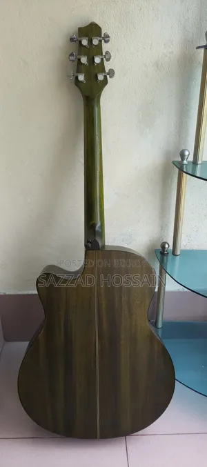 Acustic Guitar