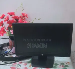 Hp Monitor and TV Card
