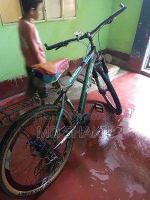 Kiesel Bicycle For Sale