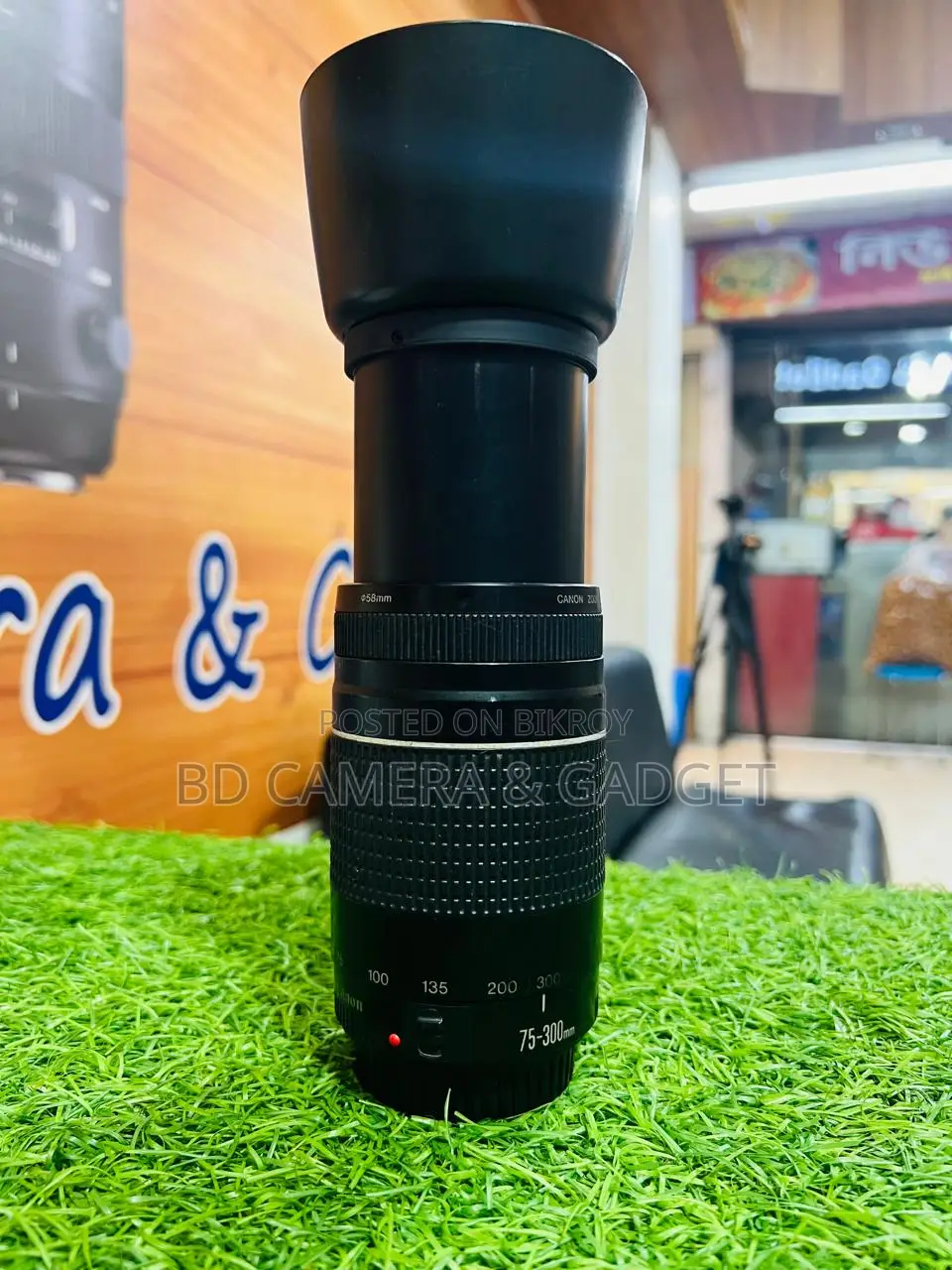 Canon 75-300 zoom lens