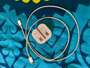 Apple Charger & Back Cover (12 Pro Max)