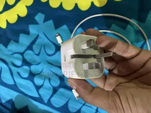 Apple Charger & Back Cover (12 Pro Max)