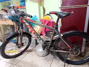Finiss Bicycle for Sale