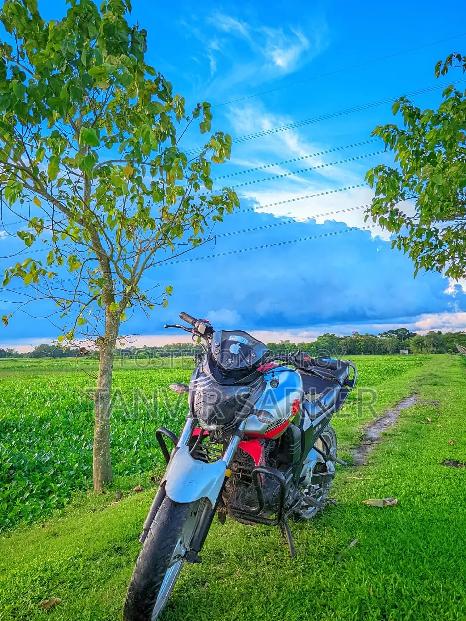 Yamaha FZS . 2013
