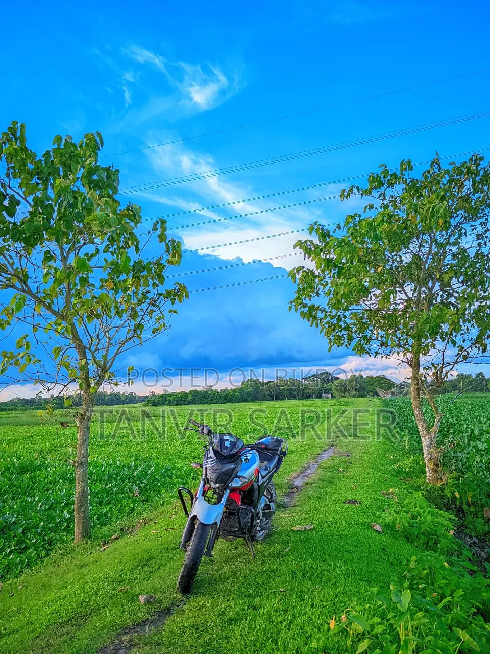 Yamaha FZS . 2013