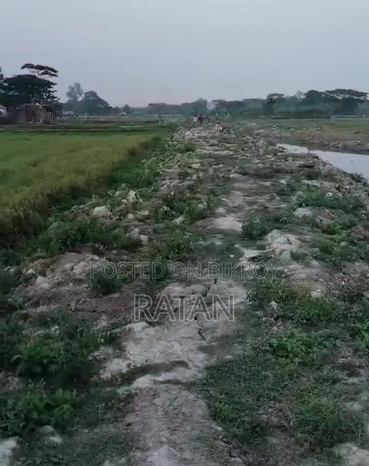 11 Katha land for sale next to the canal in Ward 38, Gazipur