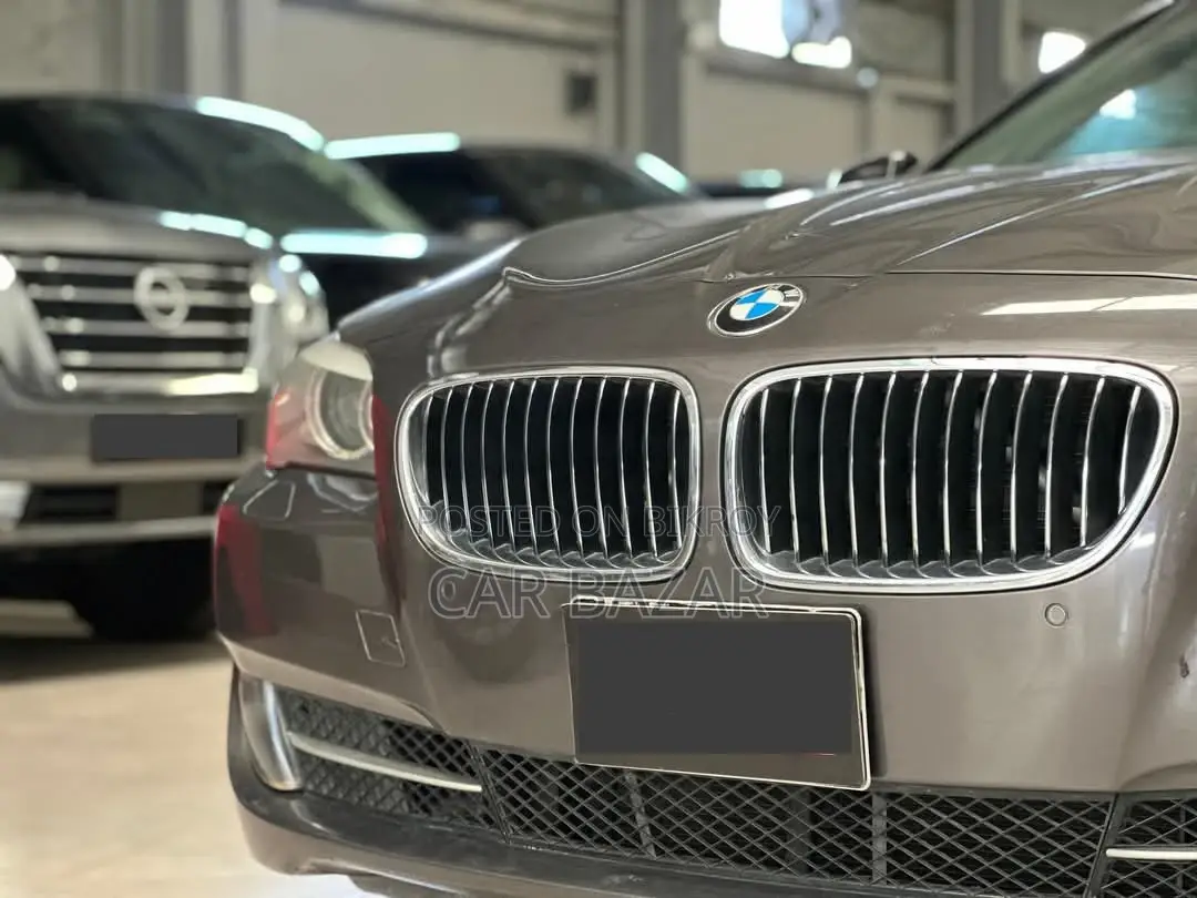 BMW 5 Series 520D BRONZE 2011
