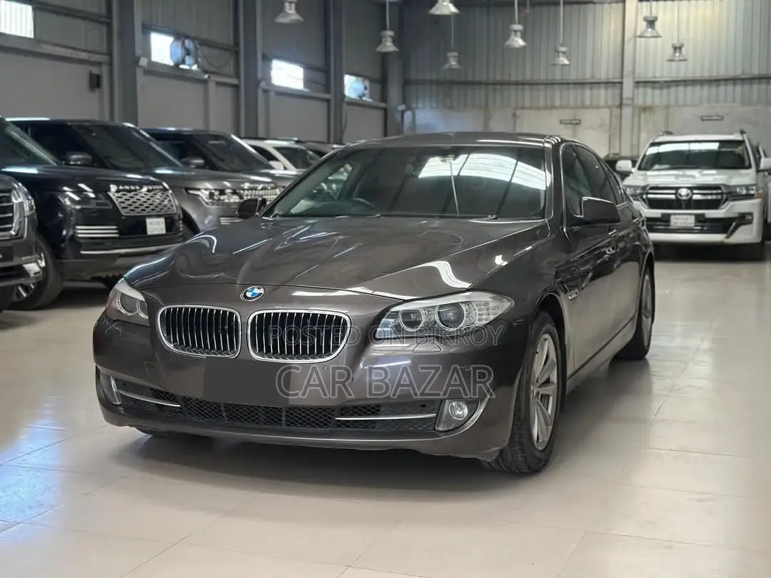BMW 5 Series 520D BRONZE 2011