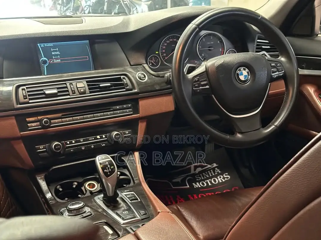 BMW 5 Series 520D BRONZE 2011