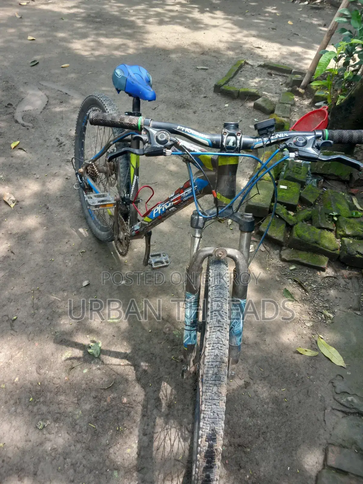 Bicycle for Sale