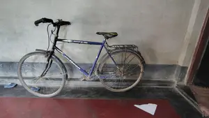 City Bike Cycle 2023