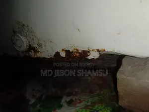 ব্যবহারিত ফ্রিজ