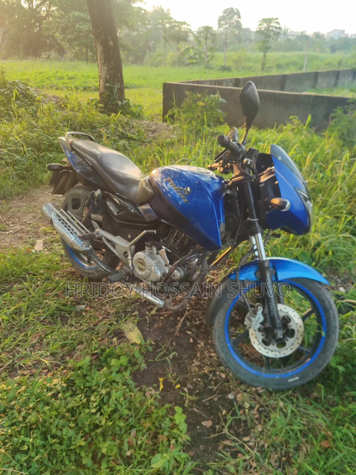 New Bajaj Pulsar 150 2012 Blue