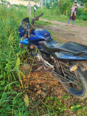 New Bajaj Pulsar 150 2012 Blue