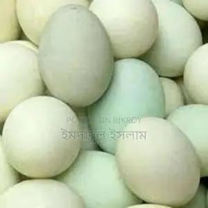 Duck Eggs