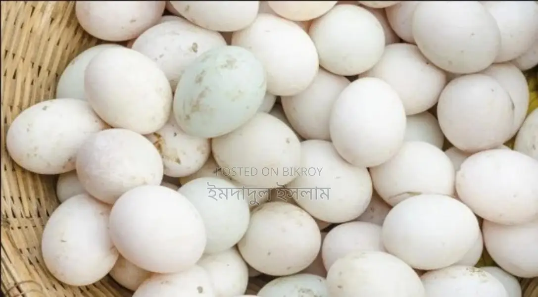 Duck Eggs