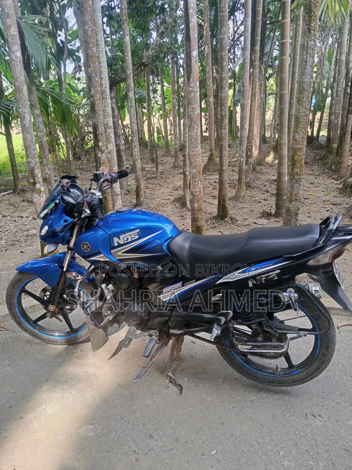 Yamaha 2010 Blue