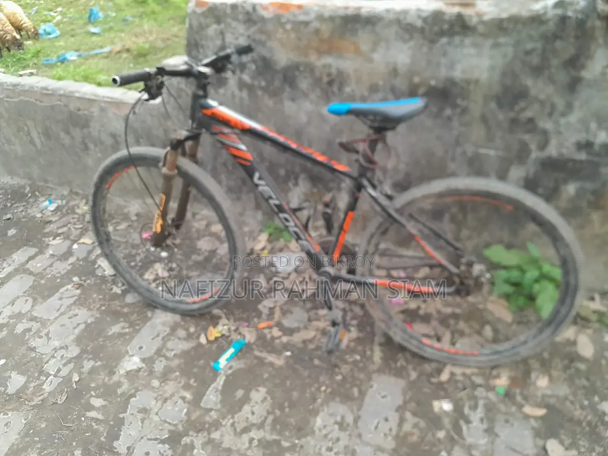 ভেলোস সাইকেল